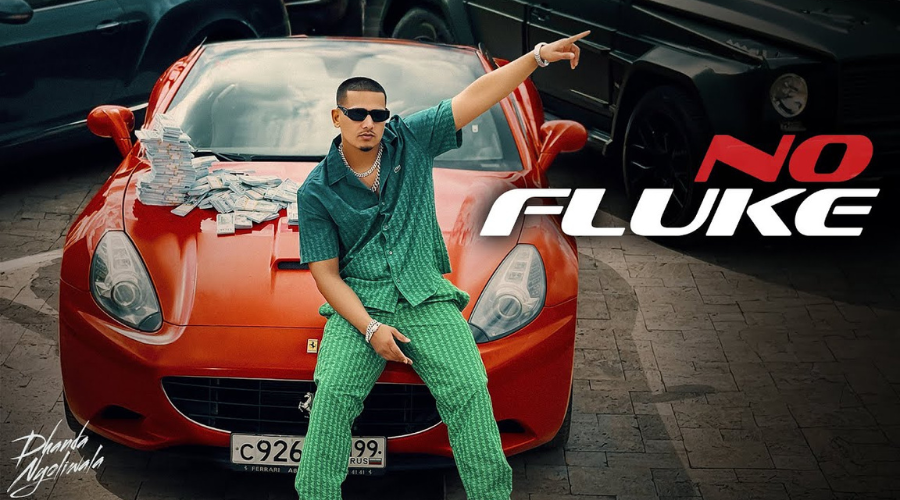 No Fluke Lyrics - Dhanda Nyoliwala