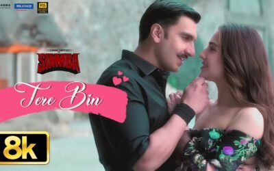 Tere Bin – Rahat Fateh Ali Khan & Asees Kaur